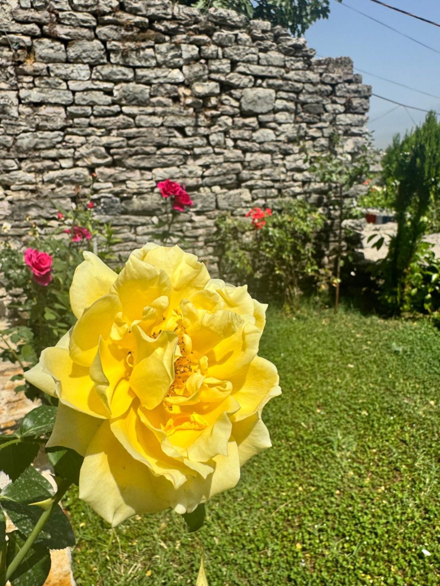 Melodia - Harmony Heaven Apartment Gjirokastër Екстериор снимка