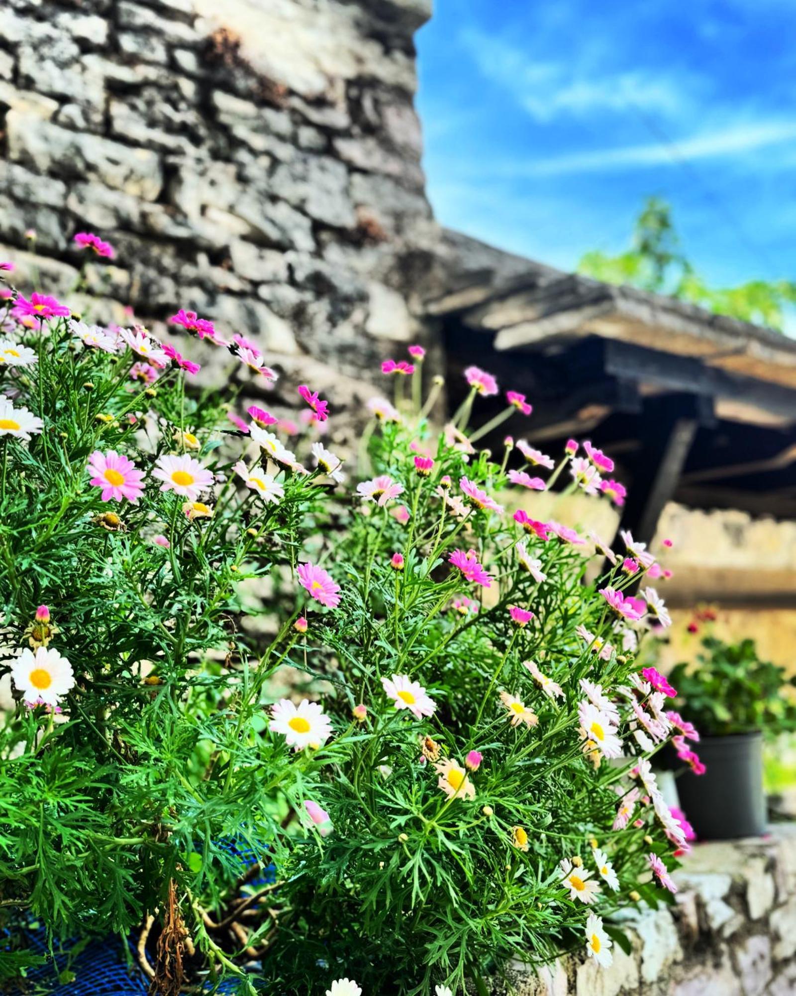 Melodia - Harmony Heaven Apartment Gjirokastër Екстериор снимка